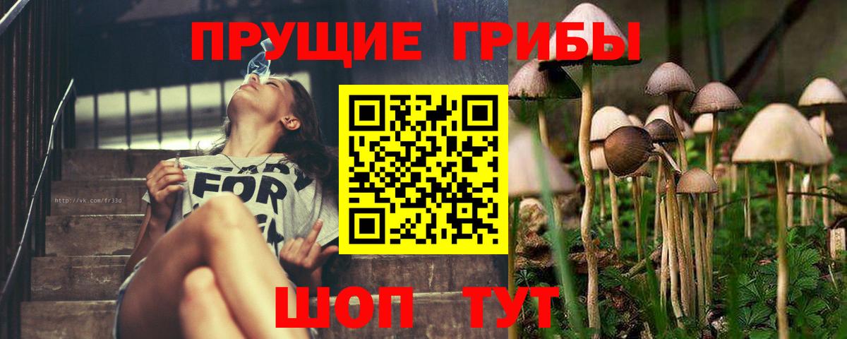 Галлюциногенные грибы GOLDEN TEACHER  Вход с VPN  Южноуральск 